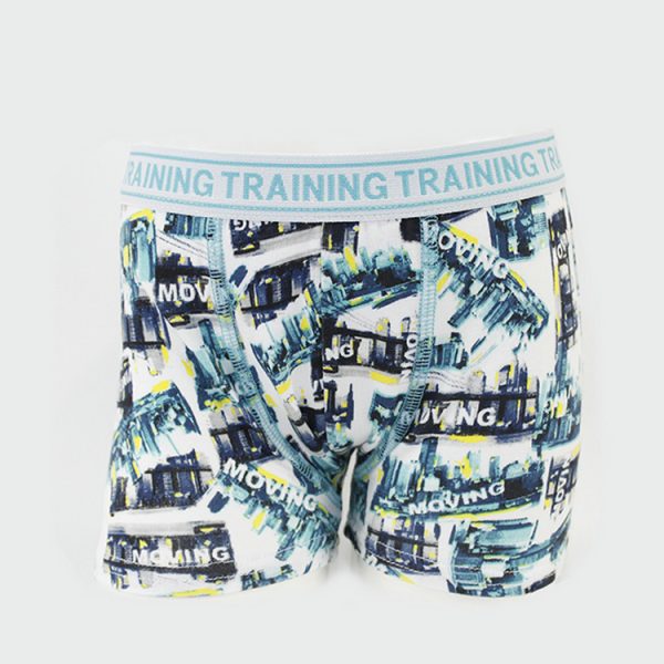 Cute Printed Boxer Underwear For Kids And Boys