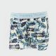 Cute Printed Boxer Underwear For Kids And Boys