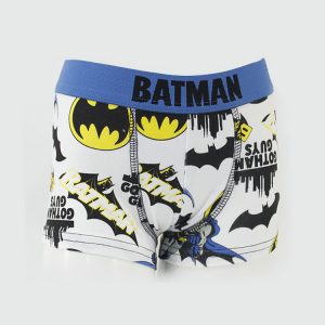 Wholesale Water Printed Sport Big Boys Boxer Underwear